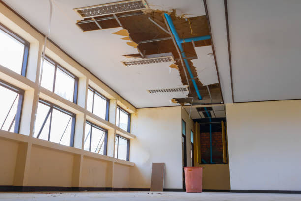 Best Water damage contractors near me  in Rose Hill, KS
