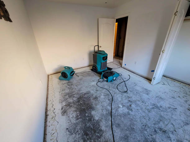 Best Water damage restoration near me  in Rose Hill, KS