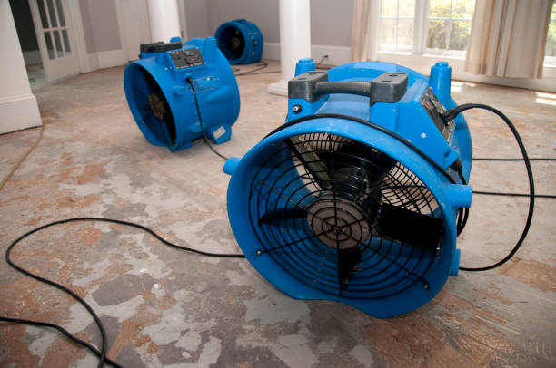 Best Mold removal after water damage  in Rose Hill, KS