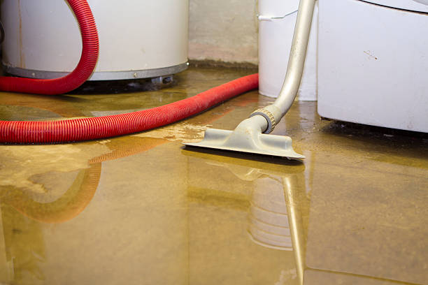 Best Flooded house restoration  in Rose Hill, KS