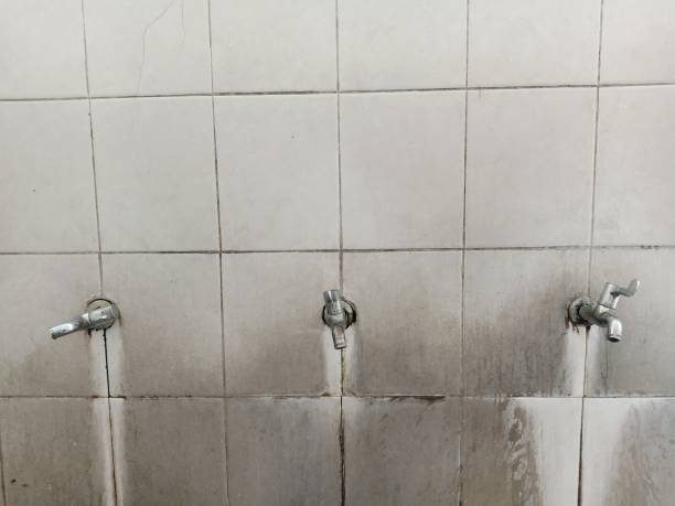 Best Professional water damage repair  in Rose Hill, KS