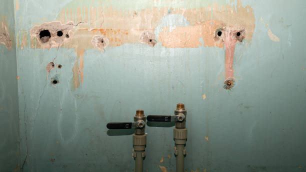 Best Ceiling water damage repair  in Rose Hill, KS