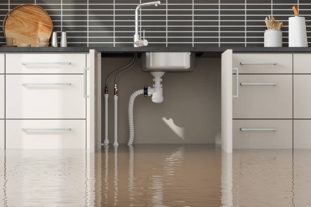 Best Sewage cleanup and water damage restoration  in Rose Hill, KS