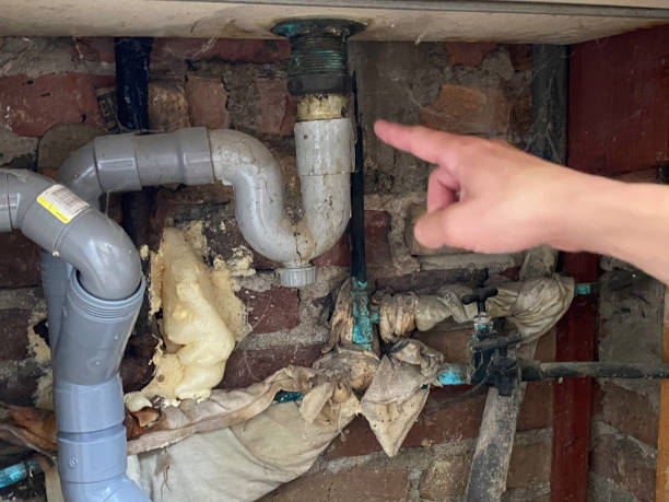 Best Water damage restoration experts  in Rose Hill, KS